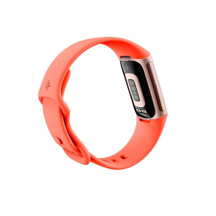 Fitbit Charge 6 Coral, Oro Fitbit Charge 6 Coral, Oro