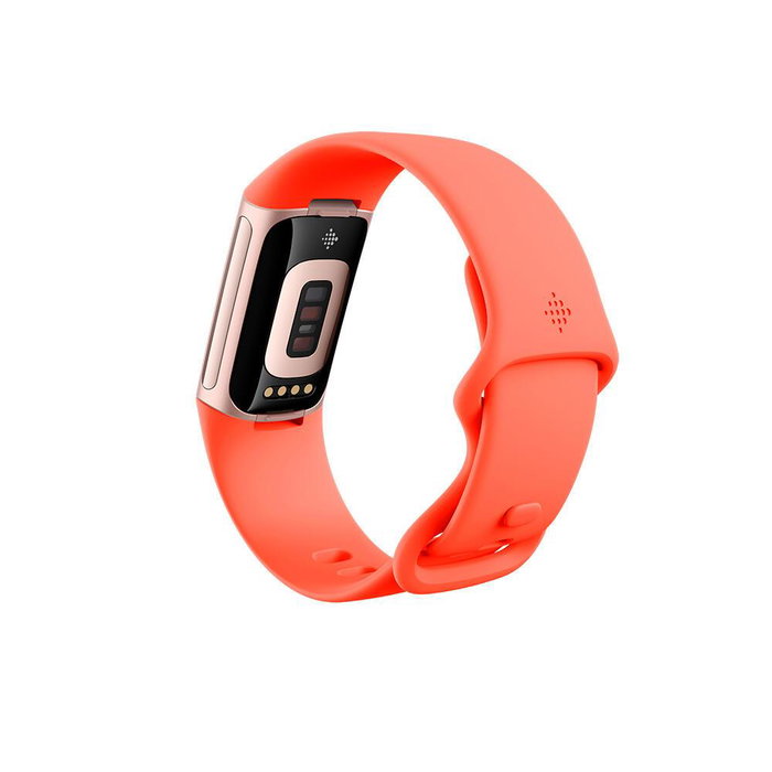 Fitbit Charge 6 Coral, Oro Fitbit Charge 6 Coral, Oro