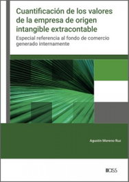 CISS, CUANTIFICACIÓN DE LOS VALORES DE LA EMPRESA DE ORIGEN INTANGIBLE EXTRA - CISS