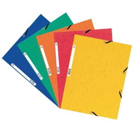 Exacompta Pack de 10 carpetas de gomas y 3 solapas Nature Future surtidos