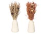 Giftdecor Florero Alto Natural Ocre 8.5x35x8.5cm Cerámica Materia Vegetal Seca (Set de 12)