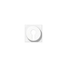 Jung A 528 PL WW Tapa de interruptor de llave