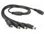 DeLOCK 83287 Cable repartidor DC 1 hembra a 4 machos 5,5 x 2,1 mm