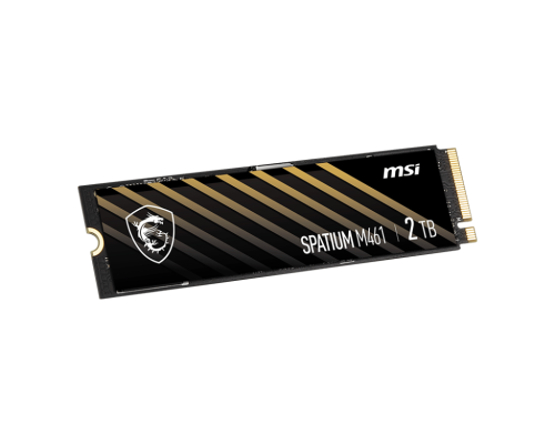 MSI Spatium M461 2 TB M.2 NVMe PCIe Gen4 x4