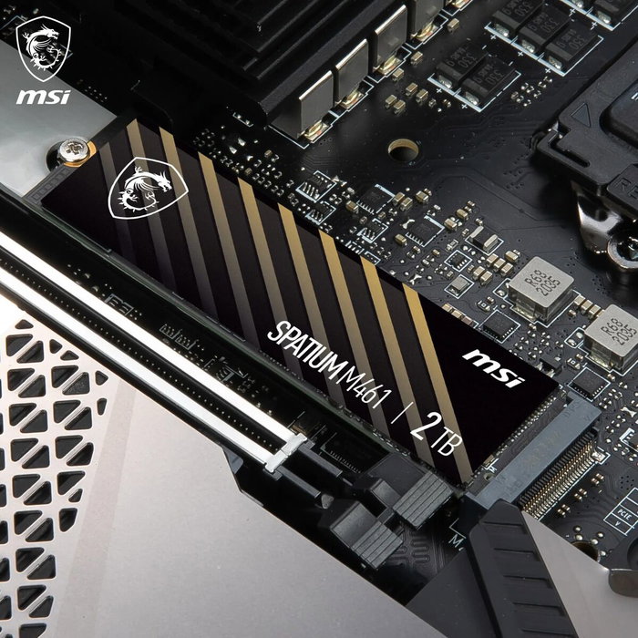 MSI Spatium M461 2 TB M.2 NVMe PCIe Gen4 x4