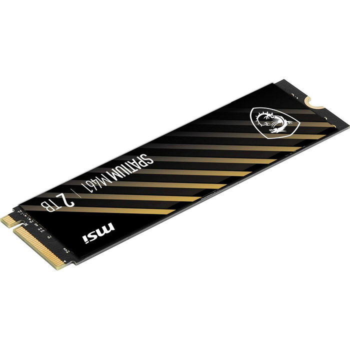 MSI Spatium M461 2 TB M.2 NVMe PCIe Gen4 x4