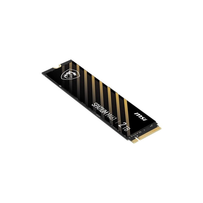 MSI Spatium M461 2 TB M.2 NVMe PCIe Gen4 x4