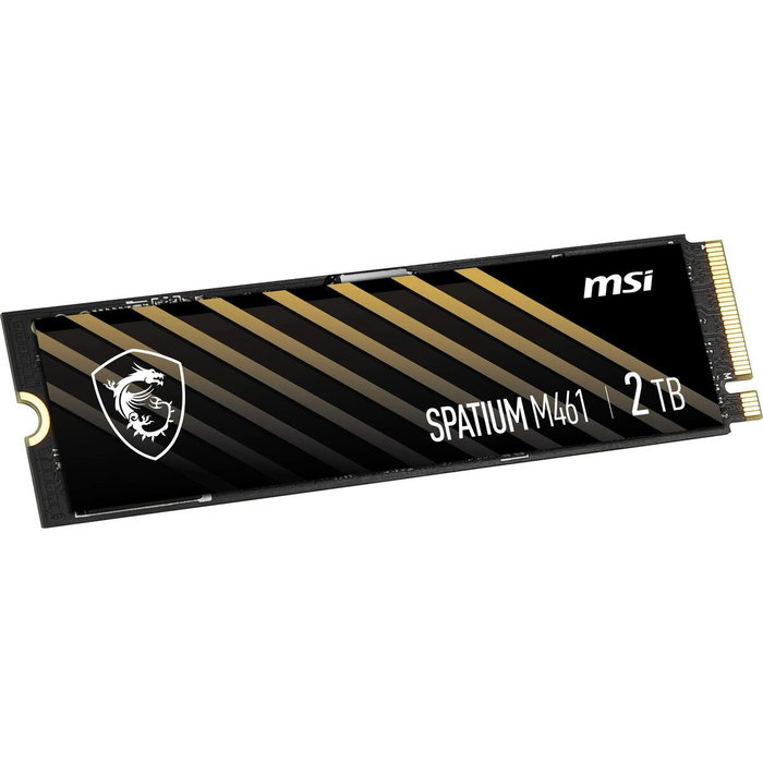 MSI Spatium M461 2 TB M.2 NVMe PCIe Gen4 x4