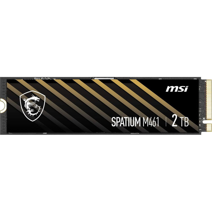 MSI Spatium M461 2 TB M.2 NVMe PCIe Gen4 x4