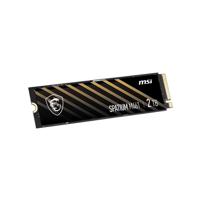 MSI Spatium M461 2 TB M.2 NVMe PCIe Gen4 x4
