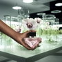 Prada Paradoxe Virtual Flower Eau de Parfum 90 ml