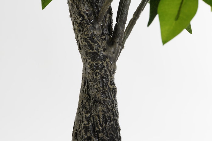 DKD Home Decor Planta Decorativa Ficus Benjamin Artificial 70x127x60 cm PVC y PP Verde/Marrón/Negro - Pack 2 Unidades