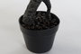 DKD Home Decor Planta Decorativa Ficus Benjamin Artificial 70x127x60 cm PVC y PP Verde/Marrón/Negro - Pack 2 Unidades
