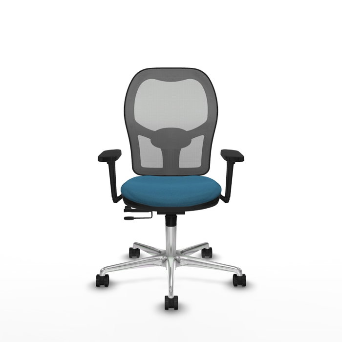 PIQUERAS Y CRESPO Silla de oficina Jorquera con mecanismo Sincro/Traslack, Verde petróleo y Gris PIQUERAS Y CRESPO Silla de oficina Jorquera con mecanismo Sincro/Traslack, Verde petróleo y Gris