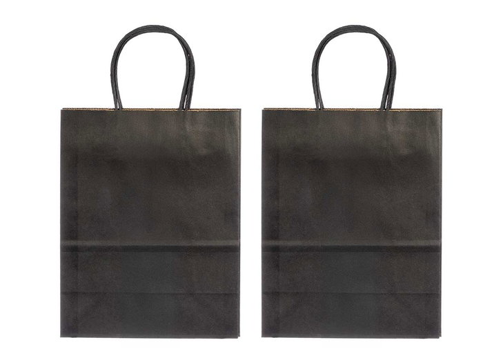 Pincello Set 2 Bolsas de Papel Color Negro 11 cm x 36 cm x 21 cm (Set de 48)