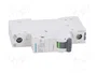 SIEMENS 5SL6106-7 Interruptor magnetotérmico 6A 1P Caract C