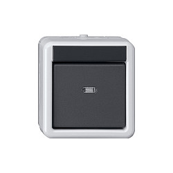 GIRA Pulsador 515230 de 1 tecla y 2 puntos Gris AP