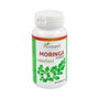 PLANTAPOL Moringa Forte 60 cápsulas
