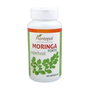 PLANTAPOL Moringa Forte 60 cápsulas