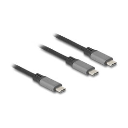 DeLOCK Cable USB-C™ en Y 1 x Macho a 2 x Macho PD 3.0 100 W 1,2 m