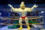 NECA Teenage Mutant Ninja Turtles Stump Wrestling Ace Duck 18 cm