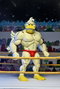 NECA Teenage Mutant Ninja Turtles Stump Wrestling Ace Duck 18 cm