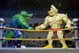 NECA Teenage Mutant Ninja Turtles Stump Wrestling Ace Duck 18 cm