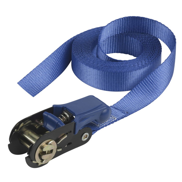 Master Lock Correa de amarre con trinquete 5 m Azul 4365EURDAT Master Lock Correa de amarre con trinquete 5 m Azul 4365EURDAT