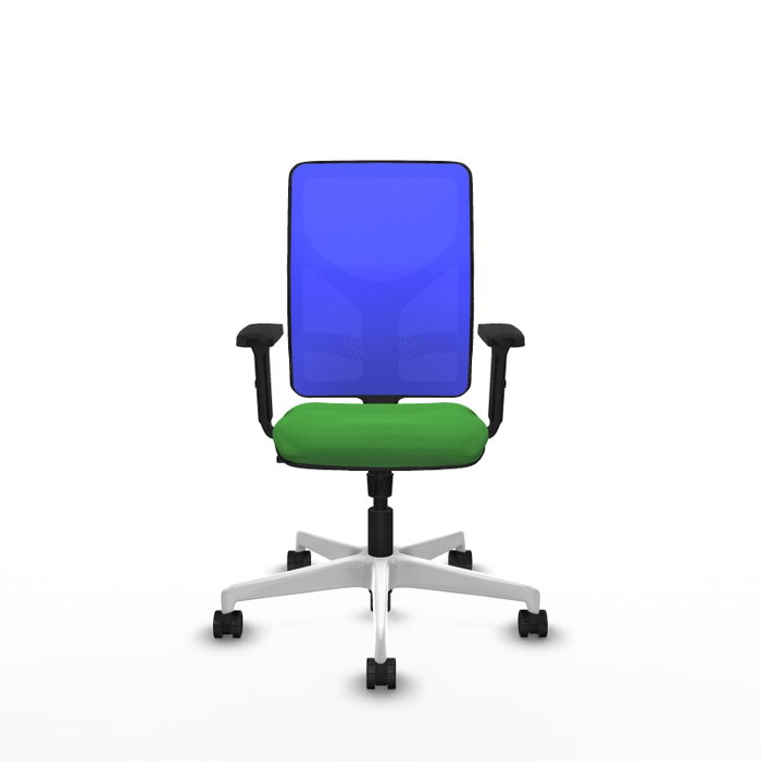 PIQUERAS Y CRESPO Silla de oficina Motilla con mecanismo Sincro, Verde y Azul PIQUERAS Y CRESPO Silla de oficina Motilla con mecanismo Sincro, Verde y Azul
