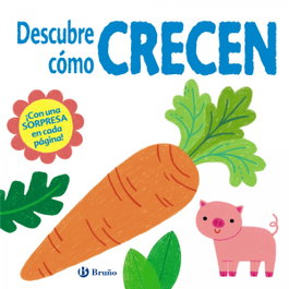 BRUÑO Descubre cómo crecen, Kylie Hamley