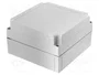 FIBOX MNX Carcasa Universal Gris ABS 180x180x100mm
