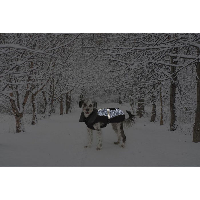 Dog Gone Smart Abrigo Aspen Negro Meteor Reflect 40 cm Impermeable y Reflectante para Perro