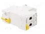 SCHNEIDER ELECTRIC iC60L Interruptor magnetotérmico 2 polos 2A