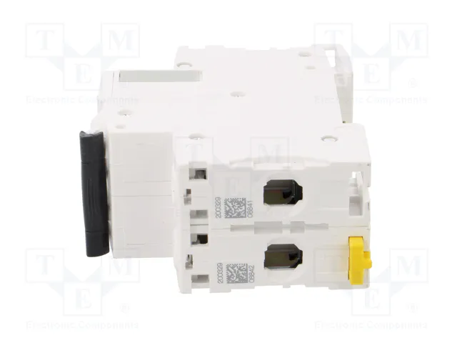 SCHNEIDER ELECTRIC iC60L Interruptor magnetotérmico 2 polos 2A
