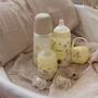 Suavinex Biberón Birdies con Tetina SX Pro L, 360 ml, para Bebés a partir de 6 meses, Color Beige - AACDR21214