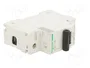 SCHNEIDER ELECTRIC Interruptor magnetotérmico ACTI9 C120N 100A 1P