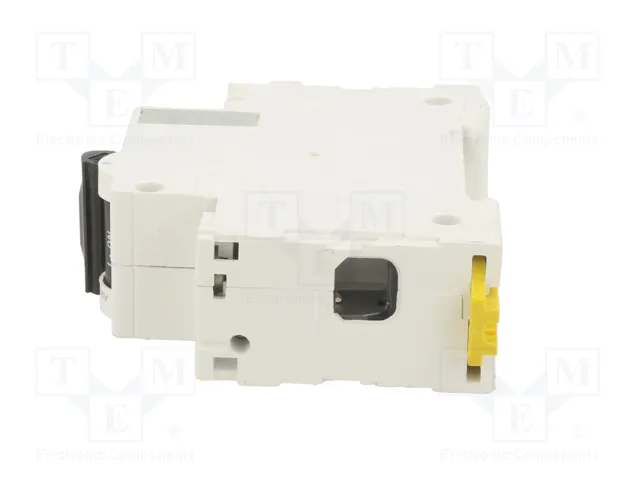 SCHNEIDER ELECTRIC Interruptor magnetotérmico ACTI9 C120N 100A 1P SCHNEIDER ELECTRIC Interruptor magnetotérmico ACTI9 C120N 100A 1P