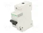 SCHNEIDER ELECTRIC Interruptor magnetotérmico ACTI9 C120N 100A 1P