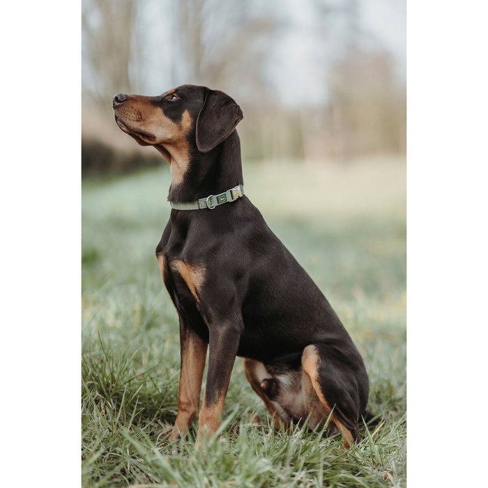 Hunter Collar Inari Alu-Strong XL Verde Hunter Collar Inari Alu-Strong XL Verde