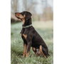 Hunter Collar Inari Alu-Strong XL Verde