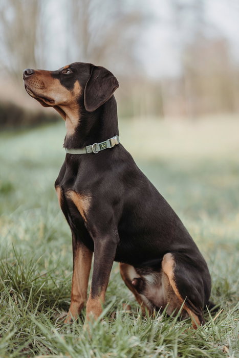 Hunter Collar Inari Alu-Strong XL Cuello 45-65 cm Verde Nailon