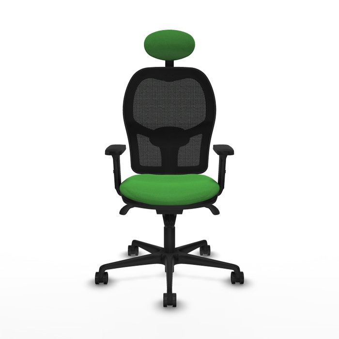 PIQUERAS Y CRESPO Silla de oficina Jorquera con mecanismo Sincro, Tela Verde y Malla Negra PIQUERAS Y CRESPO Silla de oficina Jorquera con mecanismo Sincro, Tela Verde y Malla Negra