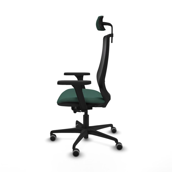 PIQUERAS Y CRESPO Silla de oficina Mardos con mecanismo Sincro/Traslack, Verde botella y Negro PIQUERAS Y CRESPO Silla de oficina Mardos con mecanismo Sincro/Traslack, Verde botella y Negro