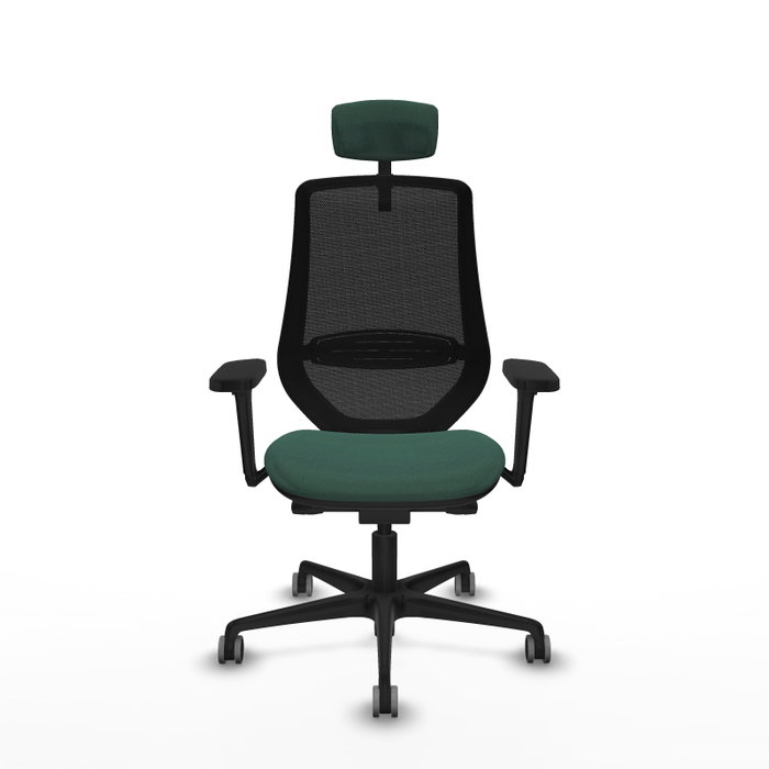 PIQUERAS Y CRESPO Silla de oficina Mardos con mecanismo Sincro/Traslack, Verde botella y Negro PIQUERAS Y CRESPO Silla de oficina Mardos con mecanismo Sincro/Traslack, Verde botella y Negro