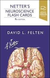 ELSEVIER UK Netter´s neuroscience flash cards (4th edition)