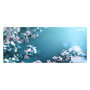 Xerox Toner C410 Alta Capacidad 006R04687 Magenta para Impresoras Xerox