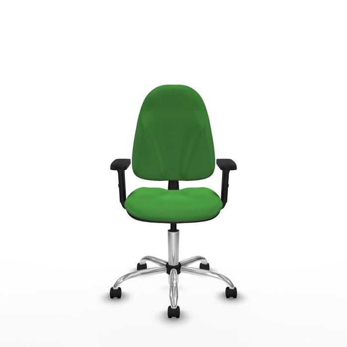 PIQUERAS Y CRESPO Silla de oficina Algarra Verde con Brazos 2D PIQUERAS Y CRESPO Silla de oficina Algarra Verde con Brazos 2D