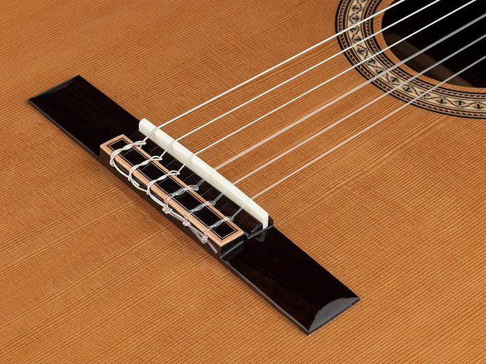 Salvador Cortez Guitarra Clásica 4/4 con Tapa de Cedro Macizo y Cutaway