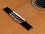 Salvador Cortez Guitarra Clásica 4/4 con Tapa de Cedro Macizo y Cutaway