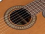 Salvador Cortez Guitarra Clásica 4/4 con Tapa de Cedro Macizo y Cutaway